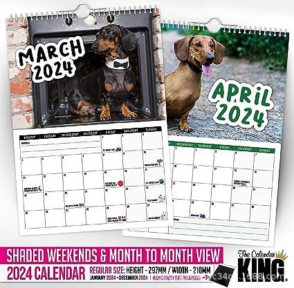 2024 Cheeky Sausage Dog Calendar Funny