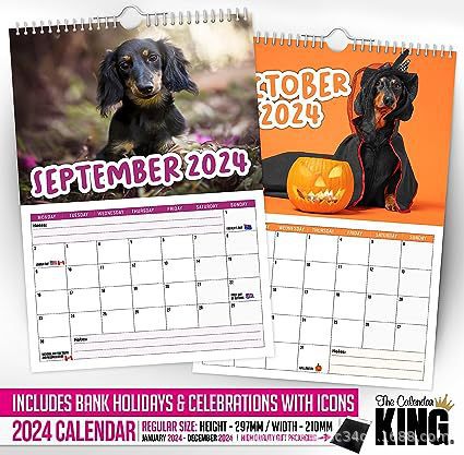 2024 Cheeky Sausage Dog Calendar Funny