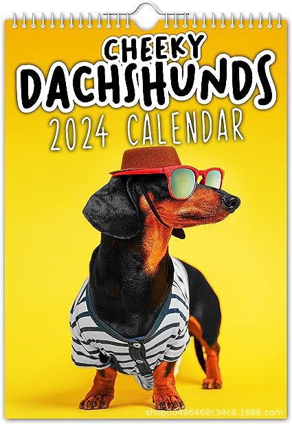 2024 Cheeky Sausage Dog Calendar Funny